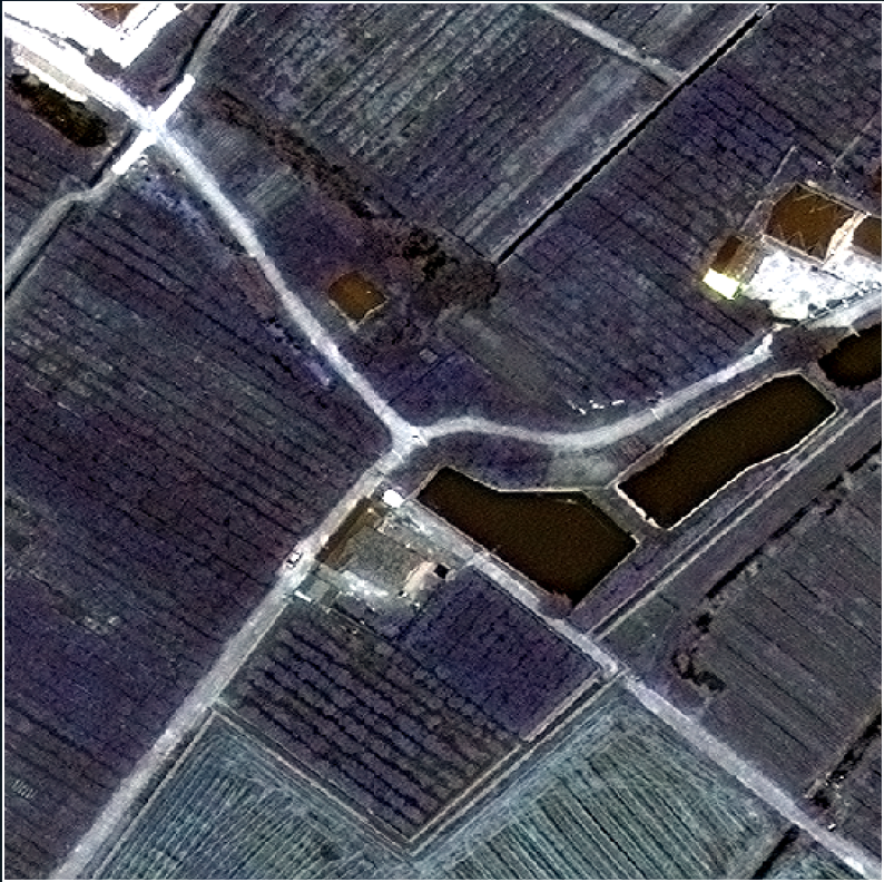 Satellite image depicting farmland